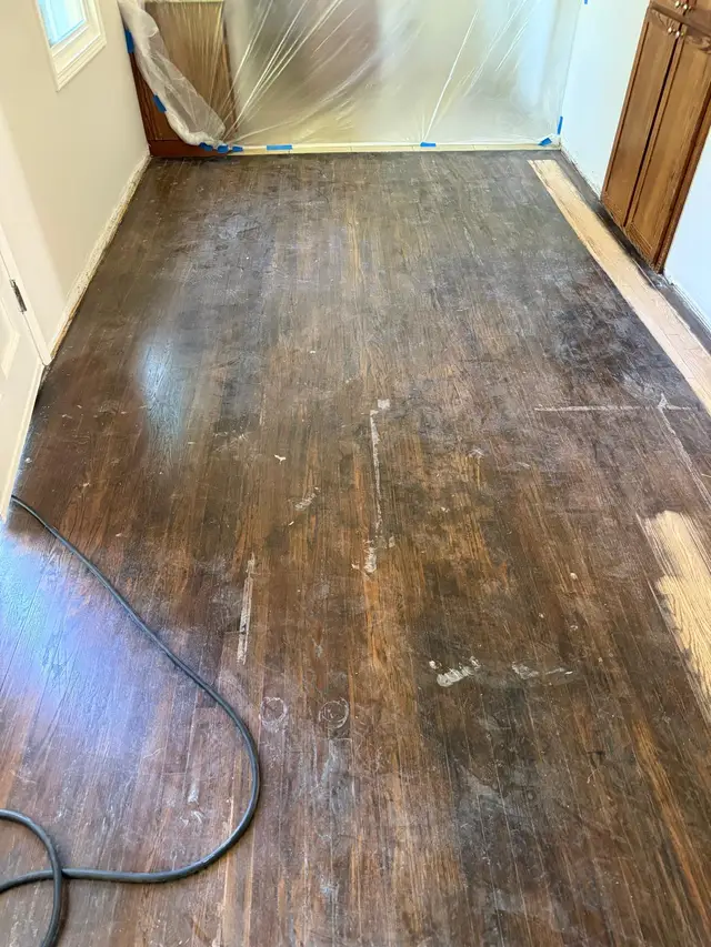 Scratched oak hardwood floor in Sacramento home before refinishing, walls masked for dust